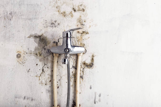 Home Mold Removal in Water Mill, NY
