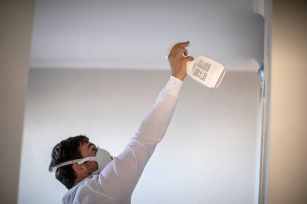 Best Mold Removal and Inspection  in Water Mill, NY