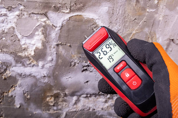 Best Residential Mold Removal  in Water Mill, NY